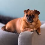 John Wrede - @perteelokkenz6 - Instagram