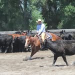 John Wright - @wrightbuckingbulls - Instagram