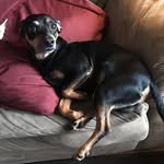 John Wulff - @maximistheminpin - Instagram