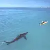 johnwulff347 - @johnwulff347 - TikTok