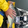 johnwulfffishing - @johnwulfffishing - TikTok