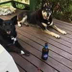 John Wyeth - @john.wyeth - Instagram
