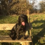 Mark John Wyeth - @markjohnwyeth - Instagram