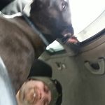 John Wygant - @john.wygant.3 - Instagram