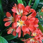 John Wymer - @wymer.john - Instagram