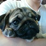 John Xie - @j_xi3 - Instagram