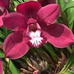 John Yablonski - @blonzo79 - Instagram