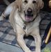 John Yablonski - Facebook