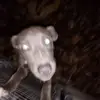 johnyarber01 - @johnyarber01 - TikTok