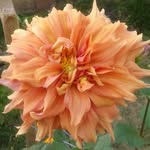 john - @john_yeats_123 - Instagram