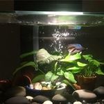 John Yoshida - @yoshidajohn - Instagram