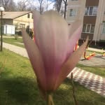 Martin Michel - @johnyrozbuska3 - Instagram