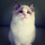@john.yue - Instagram