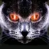 johnyurick1 - @just4fun.funcat.tok - TikTok