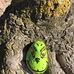 John L Zehnder Park - Facebook