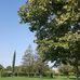 John L. Zehnder Park - Facebook