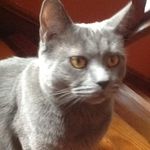 Johnny Zeitler - @chuncky_cheese69 - Instagram
