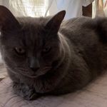 Johnny Zeitler - @shchenjvid - Instagram