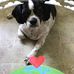 Joan Zelinsky - Facebook
