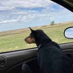 John Zellmer - @little_john1331 - Instagram