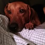 John Zerhusen - @johnzerhusen - Instagram