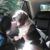 johnzimmerle825 - @johnzimmerle825 - TikTok