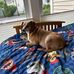 Jon Zollner - Facebook
