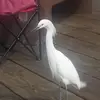 jonzollner6 - @jonzollner6 - TikTok