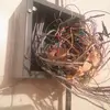 John Zukowski316 - @johnzukowski316 - TikTok