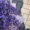 John Zuleger - @johnzuleger281 - TikTok