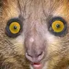 johnleger223 - @john.leger2 - TikTok