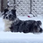 Jonathan Ayers - @jonathan_the__beast - Instagram