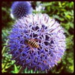 Johnathan Beck - @listlovelyroyal - Instagram