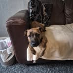 Johnathan Bell - Facebook