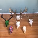 Johnathan Blair - @johnathan_blair6 - Instagram