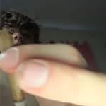 Johnathan Bridges - @dagoatj420 - Instagram