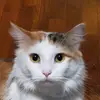 Johnathan Butler - @johnathanbutler5 - TikTok