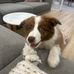 Jonathan Caldwell - Facebook