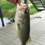 Johnathan Chance Cobb - @johnathanchancecobb - Instagram