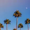 Johnathan Cobb835 - @johnathancobb835 - TikTok
