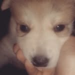 johnathan conner mcgreger - @johncoburn660 - Instagram