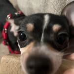 Johnathan Cooks - @schmeatninja - Instagram