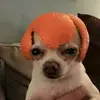 jayy_23 - @johnathancortez58 - TikTok