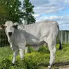 jonathan daniels - @jonathan.daniels93 - TikTok