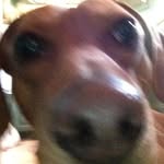 @johnathan_fowler2267 - Instagram