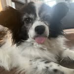 Johnathan Fowler - @john.fowler_5 - Instagram