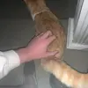 Johnathan Geer - @johnathangeer8 - TikTok