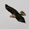 Jonathan Gee702 - @jonogeewhiz - TikTok