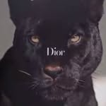 Johnathan Gregory - @d0iiez - Instagram