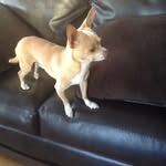 Johnathan Guzman - @johnathan8253 - Instagram